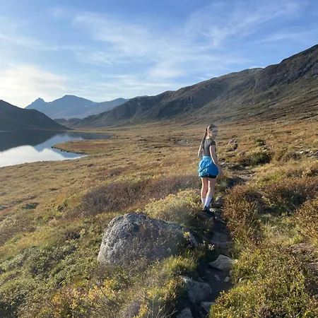 Holiday home 3-bedroom & Wheelchair Access Beitostolen