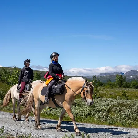 3-bedroom & Wheelchair Access * Beitostolen