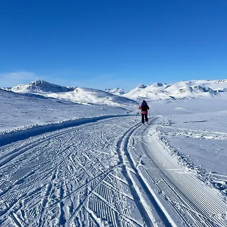 3-Bedroom Apartment Central & Wheelchair Access *